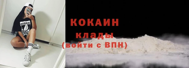 прущие грибы Липки