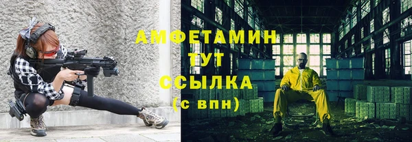 прущие грибы Липки