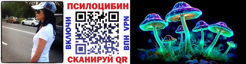 kraken tor  Елизаветинская  Псилоцибиновые грибы Psilocybine cubensis 